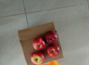 新西蘭進(jìn)口丹爍蘋(píng)果dazzle脆甜小蘋(píng)果丹碩紅蘋(píng)果Sunbrst 12顆 【小果脆甜帶皮吃】單果115g+ 曬單實(shí)拍圖