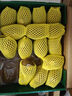 佳沛（zespri）新西蘭 陽光金奇異果12粒禮盒特大果單果約122-146g 獼猴桃 水果 曬單實拍圖
