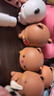 名創(chuàng)優(yōu)品（MINISO）一二和布布的日常第2彈盲盒手辦擺件玩具生日七夕情人節(jié)禮物男女 曬單實拍圖