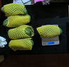 南步桂七芒果【順豐速發(fā)】廣西百色田東大青皮芒貴七香芒新鮮水果禮盒 5斤特大果【單果5兩+】普通快遞 曬單實(shí)拍圖