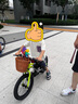 鳳凰騎客鳳凰兒童自行車6-8到12歲10-15歲男女孩學生青少年變速山地車 騎客單速輻條輪-綠 16寸(適合105-120cm) 曬單實拍圖