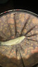 草魚(yú)餌料專(zhuān)用野釣大草魚(yú)餌窩料淡水魚(yú)通殺青魚(yú)小藥散炮配方 【買(mǎi)一贈一】緩散草魚(yú)殺手 曬單實(shí)拍圖