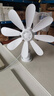 揚子電風(fēng)扇家用臺夾扇辦公室?jiàn)A式小風(fēng)扇宿舍桌面小夾扇臺扇大風(fēng)力輕音電扇 8葉大風(fēng)力款+3米延長(cháng)線(xiàn) 曬單實(shí)拍圖