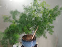 智國(guó)者隱藏式車(chē)載充電器超級(jí)快充120W迷你一拖二插頭點(diǎn)煙器轉(zhuǎn)換器多功能快速汽車(chē)輛適用華為蘋(píng)果小米 曬單實(shí)拍圖
