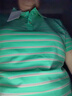 語(yǔ)縵棉質(zhì)短袖t恤女2025夏天新款中年polo衫條紋時(shí)尚韓版翻領(lǐng)上衣體T恤 湖綠 4XL 體重140-150斤 曬單實(shí)拍圖