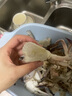 舟山梭子蟹鮮活特大野生大螃蟹新鮮冷凍海鮮水產(chǎn)海蟹飛蟹白蟹順豐 9兩以上/只【5斤凈重 超大肥美】 曬單實(shí)拍圖