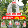 YUANYIBA水果套袋防烏防蟲專用網(wǎng)袋西瓜波羅蜜卷心菜南瓜冬瓜保護袋子 曬單實拍圖