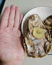 百味殿【活鮮】生蠔 乳山牡蠣 新鮮海蠣子生鮮貝類 【肉質飽滿】3XL 凈重4斤(11-13只) 曬單實拍圖
