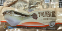 中洋魚天下 (ZHONGYANG GLOBAL FISH) 河豚魚150g 全程可追溯 30年養(yǎng)殖技術(shù) 生鮮 海鮮水產(chǎn) 曬單實拍圖