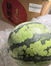 京鮮生 無(wú)籽麒麟大西瓜 1粒裝 7-9斤 生鮮水果 曬單實(shí)拍圖