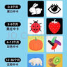 黑白卡片早教卡新生兒0-3個(gè)月6寶寶追視覺(jué)激發(fā)卡幼兒彩色玩具 黑白黑紅彩色認知卡 曬單實(shí)拍圖