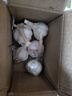 新干蒜蔬菜糖醋蒜燒烤火鍋調(diào)料食材大蒜 5頭裝100g 3.5-5cm 曬單實(shí)拍圖