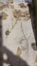 她池時尚套裝2025夏裝新款女裝圓領(lǐng)上衣搭高腰半身裙兩件套 曬單實(shí)拍圖