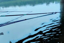 【野釣魚(yú)竿】野釣手竿專業(yè)特價(jià)漁具溪流竿超輕超硬鯽魚(yú)竿釣魚(yú)竿 4.5m （實(shí)際長(zhǎng)度3.4米）單桿 曬單實(shí)拍圖