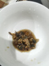 辣螺醬生腌海鮮即食醉螺醬黃螺醬海螺大新鮮寧波舟山特產(chǎn)罐頭水產(chǎn) 小號(hào)辣螺醬【250g/罐】 1罐 曬單實(shí)拍圖