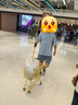 安踏兒童男大童針織短袖T恤衫2025夏親膚純棉T火影聯(lián)名A52528116 曬單實(shí)拍圖