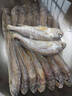 舟山海捕小黃魚野生細麟小黃魚新鮮速凍 2000g（約15-18條/斤） 曬單實拍圖