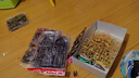 萬(wàn)代（BANDAI）Gundam 高達拼插拼裝模型玩具 MG 1/100 SEED 敢達 PB限定逆紅異端 5063530 曬單實(shí)拍圖