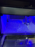 美的（Midea）制冰機商用奶茶店全自動(dòng)小型冰粒機桶裝水制冰器KTV吧臺冰塊制作機自動(dòng)制冰制造一體機 單次出冰50顆-日產(chǎn)25KG-自來(lái)水 曬單實(shí)拍圖