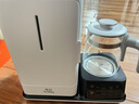 孕貝奶瓶消毒器 帶烘干紫外線嬰兒消毒柜二合一體機恒溫水壺 8燈 6.5L 曬單實拍圖