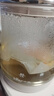 小熊（Bear）養(yǎng)生壺 煮茶壺 恒溫水壺 保溫燒水一體智能電熱水壺花茶壺燒水壺 11檔保溫 1.5L大容量 YSH-J15Z7 曬單實拍圖
