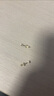 BJYLS999足銀耳釘男養(yǎng)耳洞耳針女防堵純銀耳棒耳骨釘簡(jiǎn)約單只男士耳飾 圓片3mm銀色S999耳釘-一對(duì) 曬單實(shí)拍圖