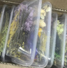 星舵干果干花樹葉DIY花材材料包香薰蠟燭天然植物松果永生花手工裝飾 混色干花花材盒【隨機一盒裝】 曬單實拍圖