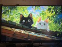 SANC盛色27英寸 2K 240Hz Fast IPS快速液晶1ms響應(yīng) 旋轉(zhuǎn)升降 低藍光 電競游戲屏幕顯示器G73 曬單實拍圖