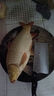 創(chuàng  )威釣魚(yú)餌料野釣黑坑鯽魚(yú)餌鯉魚(yú)餌食草鰱鳙春季適用拉絲粉打窩料散炮 腥味鯉 曬單實(shí)拍圖