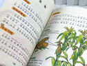 中國少年兒童百科全書大百科注音版全套共2冊(cè)拼音讀物正版圖書 瘋狂的十萬個(gè)為什么少年兒童趣味百科全書漫畫版 少兒科普類繪本故事書 小學(xué)生一二年級(jí)課外閱讀必讀書籍科普百科常識(shí)兒童書 省錢卡 曬單實(shí)拍圖