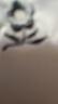 夢(mèng)特嬌男裝短袖T恤純色桑蠶·絲翻領(lǐng)休閑寬松大碼體恤上衣polo衫男 新款短袖-白色【鉆石桑蠶絲】 3XL 190_100A_建議185-210斤 曬單實(shí)拍圖