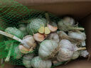 京鮮生河南杞縣新鮮半干蒜新鮮蔬菜蒜味濃郁凈重3斤裝源頭直發(fā)  曬單實(shí)拍圖