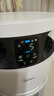 美的（Midea）小山竹寵物空氣凈化器吸貓毛搭子除甲醛異味過(guò)敏源 衛(wèi)健委備案 殺菌消毒機(jī)PET600【家電國(guó)家補(bǔ)貼】 曬單實(shí)拍圖
