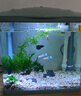 森森 高清玻璃一體小魚缸HR300湖藍色款 曬單實拍圖
