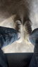 阿迪達斯男女YEEZY 350 V2 白玉石椰子夏日透氣休閑鞋H06519 43 曬單實拍圖