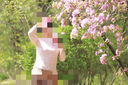 皮爾卡丹 針織衫女春秋薄款開(kāi)衫2025年春秋夏薄款精紡羊|絨開(kāi)衫女V領(lǐng)修身 粉色 XL120-135斤 曬單實(shí)拍圖