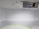 美的（Midea）182升雙開門兩門小戶型家用客廳租房宿舍冰箱可冷藏冷凍小巧不占地低音運(yùn)行BCD-182M【國家補(bǔ)貼】 曬單實(shí)拍圖