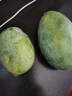 【新鮮上市】正宗攀枝花凱特芒果新鮮水果 帶箱2斤200g+ 曬單實(shí)拍圖