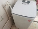 長虹波輪洗衣機半自動家用智能洗脫一體61升大容量1400轉高速脫水甩干公寓宿舍出租房小型專用 旋鈕版：61升大容量-1400轉高速脫水-洗脫一體 曬單實拍圖