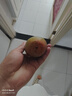 庾豐 芒果當(dāng)季新鮮水果孕婦熱帶青皮芒果 大青芒樹上現(xiàn)摘 需催熟 10斤裝（凈果8.5-9斤）優(yōu)選果 甄選品質(zhì) 京鮮直采 曬單實(shí)拍圖