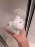 OEIN兔毛扭扭棒小狗手工diy材料包自制成品毛絨玩偶送女朋友生日禮物 兔毛小狗--款式四（材料包） 曬單實拍圖
