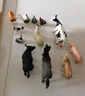 babycare&bctoys兒童玩具實心仿真農(nóng)場動物桶動物模型奶牛綿羊金毛犬 曬單實拍圖