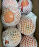 京鮮生 陜西洛川蘋果紅富士  凈重5斤  單果200g-260g 生鮮水果 曬單實拍圖
