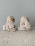 Jellycat米色甜美小兔小短腿公仔動物毛絨玩偶娃娃生日七夕情人節(jié)禮物 甜美小兔 One Size 曬單實拍圖