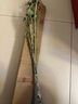 艾草種苗帶根新鮮艾葉香草遏草驅(qū)蚊陽臺盆栽四季種植盆栽地栽苗 帶根艾草苗5棵/送肥料 曬單實拍圖
