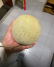 京鮮生 玫瓏網(wǎng)紋甜瓜 2粒裝 凈重6-7斤起 源頭直發(fā)包郵 曬單實拍圖
