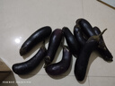 壽光農(nóng)家紫茄子紫茄新鮮現(xiàn)摘生鮮超市蔬菜燒烤搭檔 五斤綠把茄子 5斤 曬單實(shí)拍圖