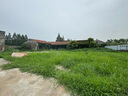 御夫清美國(guó)進(jìn)口疤克醫(yī)用硅酮疤痕貼刨剖腹產(chǎn)宮減張貼去祛疤痕專用修復(fù) 曬單實(shí)拍圖