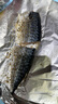 禧美海產(chǎn) 冷凍挪威青花魚片凈重2斤 獨立包裝2-4袋 去臟日料烤魚 海鮮 曬單實拍圖
