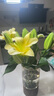 香水百合花多頭鮮花花束批發(fā)云南昆明基地現(xiàn)采直發(fā)水養(yǎng)鮮花真花 黃色香水百合10朵 下單送鮮花保鮮劑 曬單實(shí)拍圖